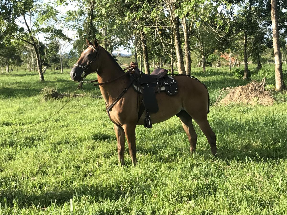 Tenamit Maya El Higuerito Zewnętrze zdjęcie